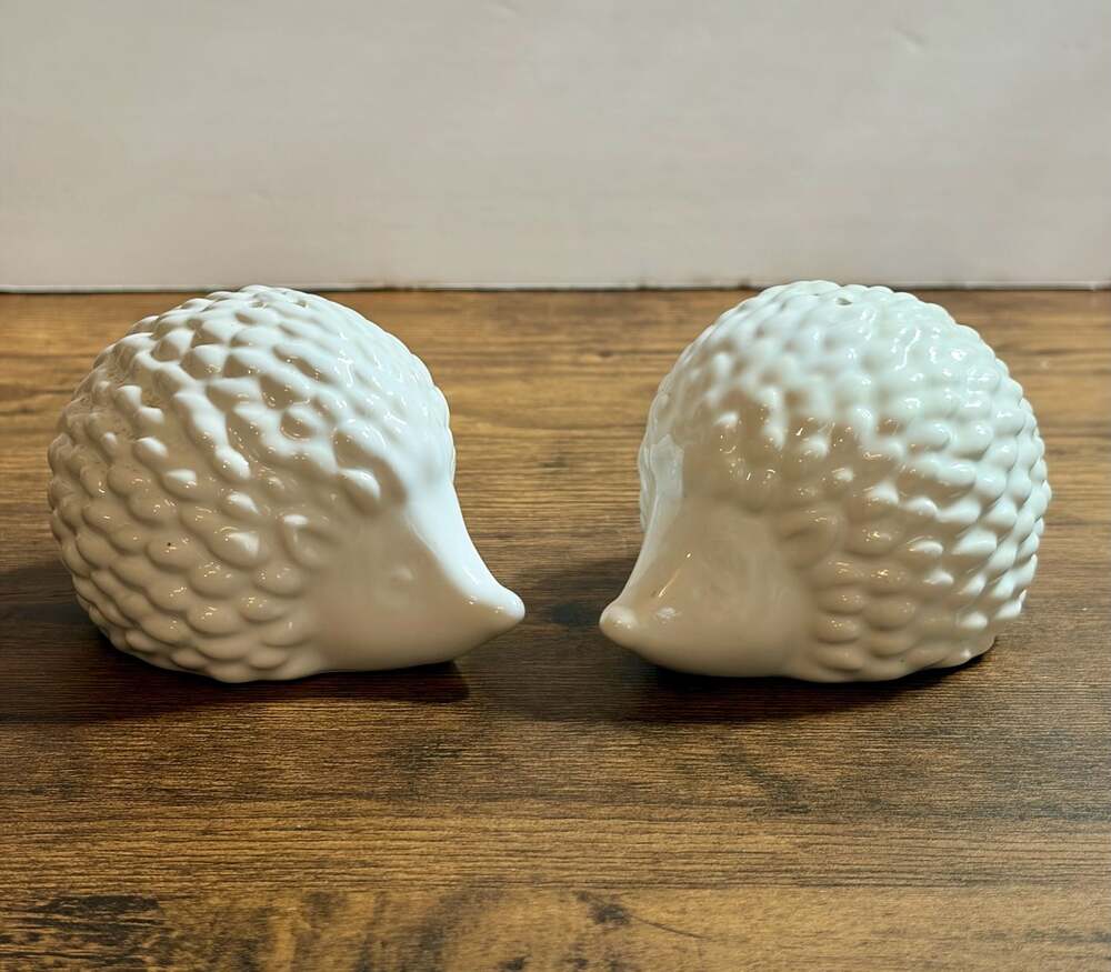 Food Brand Stoneware Ceramic Hedgehog Salt and Pepper Shakers